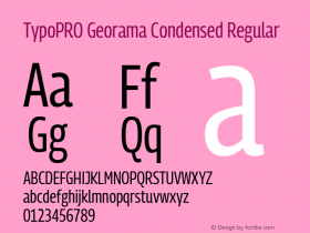 TypoPRO Georama Condensed Regular Version 1.001图片样张