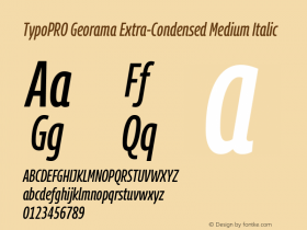 TypoPRO Georama Extra Condensed Medium Italic Version 1.001图片样张