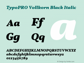 TypoPRO Vollkorn Black Italic Version 5.000; ttfautohint (v1.8.3)图片样张