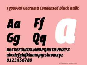 TypoPRO Georama Condensed Black Italic Version 1.001图片样张