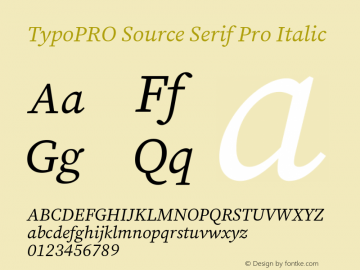 TypoPRO Source Serif Pro Italic Version 3.001;hotconv 1.0.111;makeotfexe 2.5.65597图片样张