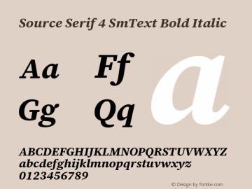 Source Serif 4 SmText Bold Italic Version 4.004;hotconv 1.0.117;makeotfexe 2.5.65602 Font Sample