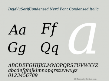 DejaVu Serif Condensed Italic Nerd Font Complete Version 2.37图片样张
