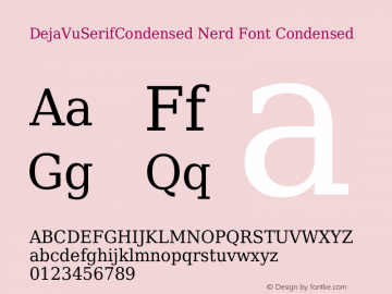 DejaVu Serif Condensed Nerd Font Complete Version 2.37图片样张