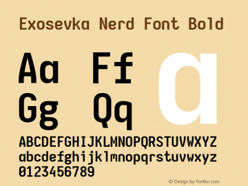 Exosevka Bold Nerd Font Complete Version 4.5.0; ttfautohint (v1.8.3)图片样张