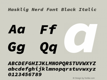 Hasklig Black Italic Nerd Font Complete Version 1.052;hotconv 1.0.117;makeotfexe 2.5.65602图片样张