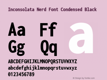 Inconsolata Condensed Black Nerd Font Complete Version 3.001图片样张