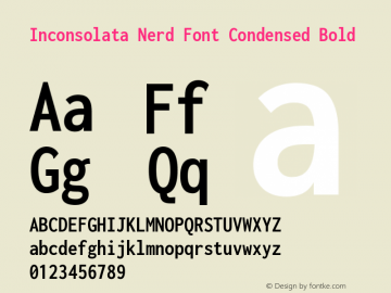 Inconsolata Condensed Bold Nerd Font Complete Version 3.001图片样张