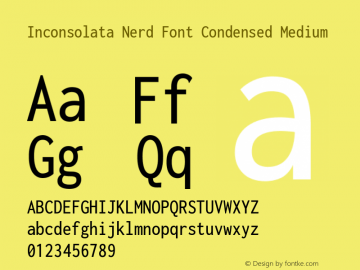 Inconsolata Condensed Medium Nerd Font Complete Version 3.001图片样张