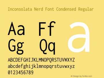 Inconsolata Condensed Regular Nerd Font Complete Version 3.001图片样张