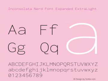 Inconsolata Expanded ExtraLight Nerd Font Complete Version 3.001图片样张