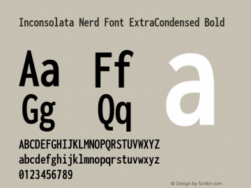 Inconsolata ExtraCondensed Bold Nerd Font Complete Version 3.001 Font Sample