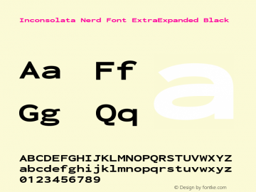 Inconsolata ExtraExpanded Black Nerd Font Complete Version 3.001图片样张