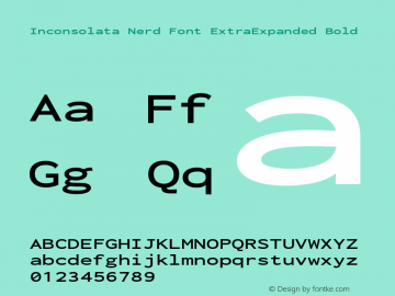 Inconsolata ExtraExpanded Bold Nerd Font Complete Version 3.001图片样张