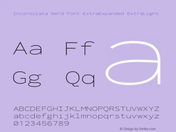 Inconsolata ExtraExpanded ExtraLight Nerd Font Complete Version 3.001 Font Sample