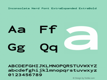 Inconsolata ExtraExpanded ExtraBold Nerd Font Complete Version 3.001图片样张