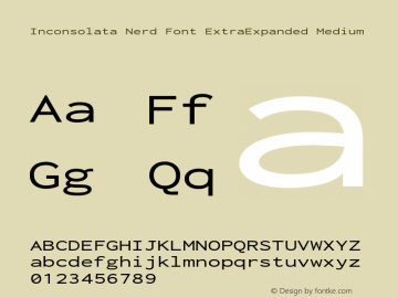 Inconsolata ExtraExpanded Medium Nerd Font Complete Version 3.001图片样张