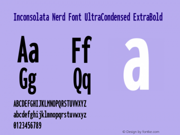 Inconsolata UltraCondensed ExtraBold Nerd Font Complete Version 3.001图片样张