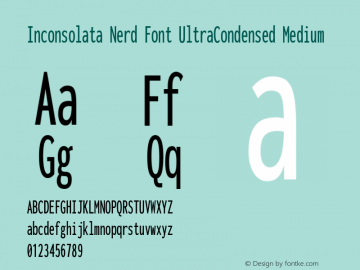 Inconsolata UltraCondensed Medium Nerd Font Complete Version 3.001图片样张
