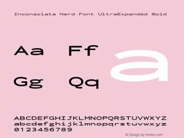 Inconsolata UltraExpanded Bold Nerd Font Complete Version 3.001图片样张