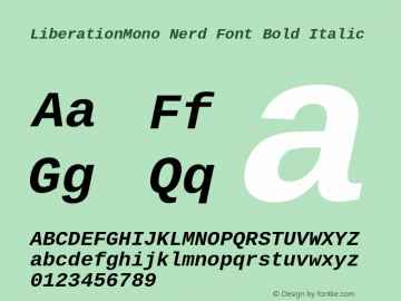 Liberation Mono Bold Italic Nerd Font Complete Version 2.1.1图片样张