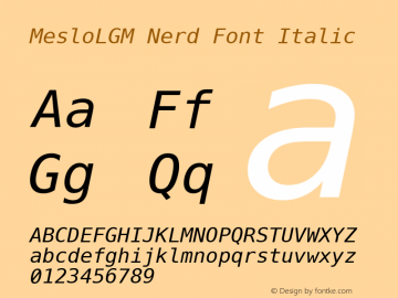 Meslo LG M Italic Nerd Font Complete 1.200 Font Sample