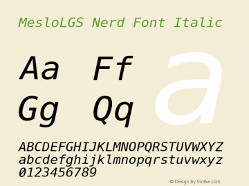 Meslo LG S Italic Nerd Font Complete 1.200图片样张