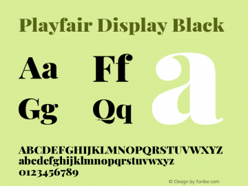 Playfair Display Black Version 1.200; ttfautohint (v1.8.2)图片样张