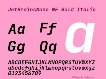 JetBrains Mono Bold Italic Nerd Font Complete Mono Windows Compatible Version 2.225; ttfautohint (v1.8.3)图片样张