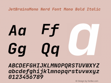 JetBrains Mono Bold Italic Nerd Font Complete Mono Version 2.225; ttfautohint (v1.8.3) Font Sample