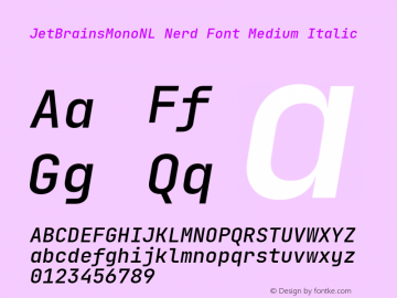 JetBrains Mono NL Medium Italic Nerd Font Complete Version 2.225; ttfautohint (v1.8.3) Font Sample