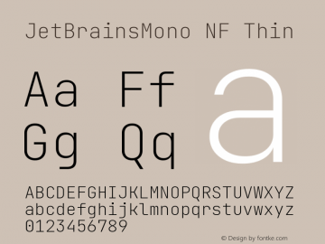 JetBrains Mono Thin Nerd Font Complete Windows Compatible Version 2.225; ttfautohint (v1.8.3) Font Sample