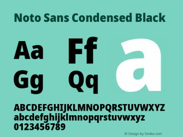 Noto Sans Condensed Black Version 2.004; ttfautohint (v1.8.3) -l 8 -r 50 -G 200 -x 14 -D latn -f none -a qsq -X 