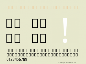 Noto Sans Gurmukhi Condensed Version 2.001 Font Sample