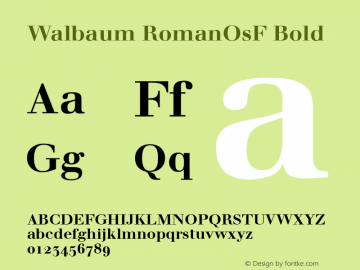 Walbaum RomanOsF Bold V.1.0图片样张