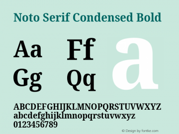 Noto Serif Condensed Bold Version 2.004; ttfautohint (v1.8.3) -l 8 -r 50 -G 200 -x 14 -D latn -f none -a qsq -X 