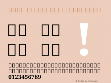 Noto Serif Gujarati Bold Version 2.002图片样张