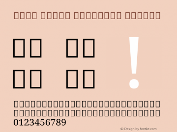 Noto Serif Gurmukhi Medium Version 2.001 Font Sample