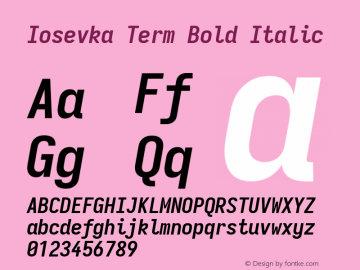 Iosevka Term Bold Italic Version 5.0.8图片样张