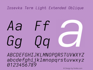 Iosevka Term Light Extended Oblique Version 5.0.8图片样张