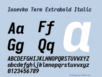 Iosevka Term Extrabold Italic Version 5.0.8图片样张