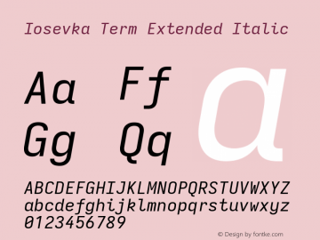 Iosevka Term Extended Italic Version 5.0.8图片样张