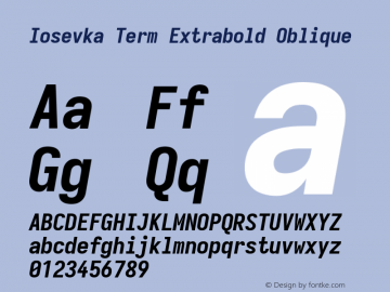 Iosevka Term Extrabold Oblique Version 5.0.8图片样张