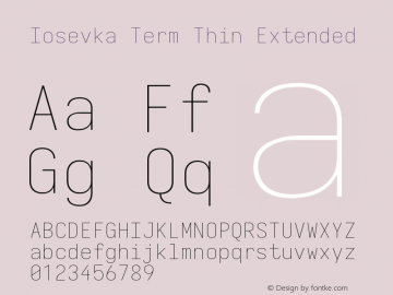 Iosevka Term Thin Extended Version 5.0.8图片样张