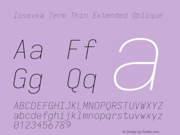 Iosevka Term Thin Extended Oblique Version 5.0.8图片样张
