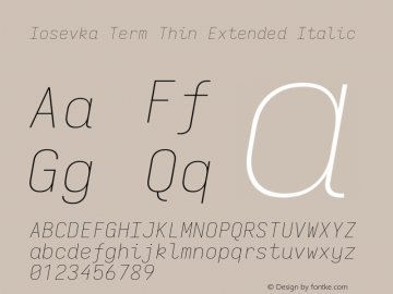 Iosevka Term Thin Extended Italic Version 5.0.8图片样张