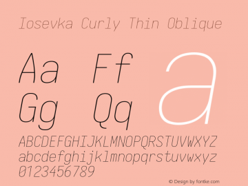 Iosevka Curly Thin Oblique Version 5.0.8 Font Sample