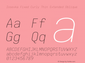 Iosevka Fixed Curly Thin Extended Oblique Version 5.0.8图片样张