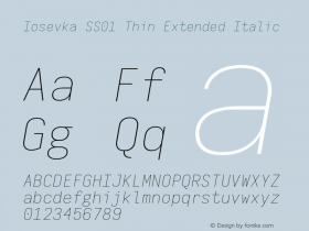 Iosevka SS01 Thin Extended Italic Version 5.0.8图片样张