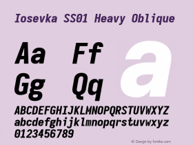 Iosevka SS01 Heavy Oblique Version 5.0.8 Font Sample